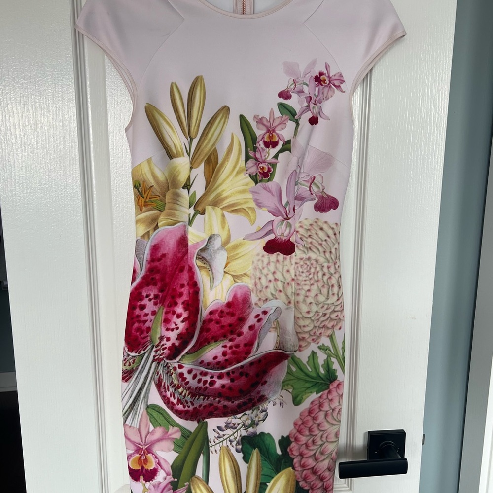 Ted Baker Pink Floral Midi Dress - Picture 1 of 3